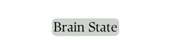 Brain State